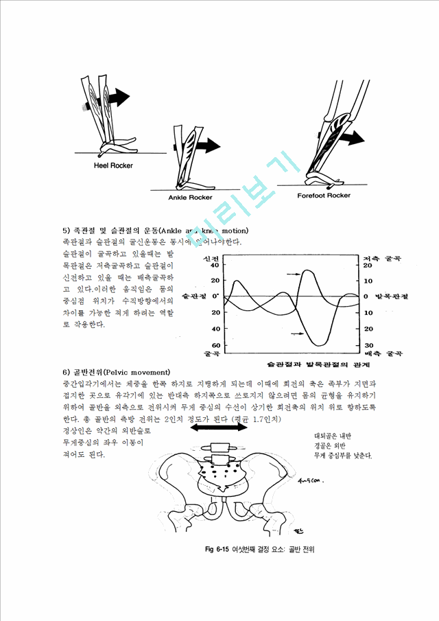 [의학][물리치료학] gait[보행] 분석.hwp